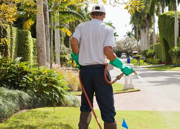 About Elvaston IL Pest Control